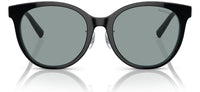 Sonnenbrillen Tiffany & Co TF4209D