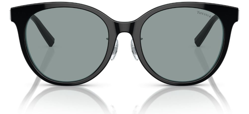 Sonnenbrillen Tiffany & Co TF4209D