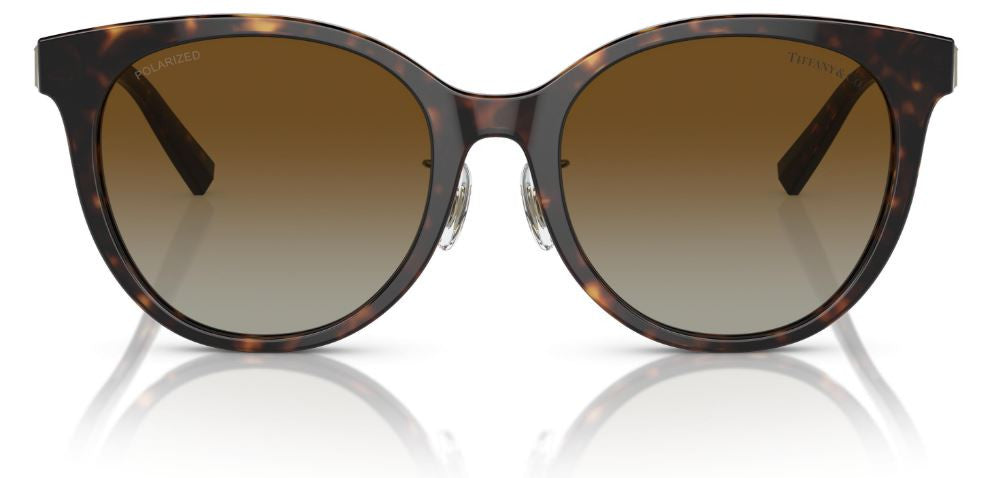 Sonnenbrillen Tiffany & Co TF4209D