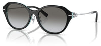 Óculos de sol Tiffany & Co TF4210D