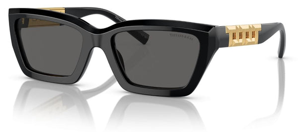 Occhiali da Sole Tiffany & Co TF4213