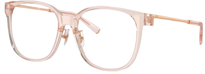 Brillen Tiffany & Co TF2240D