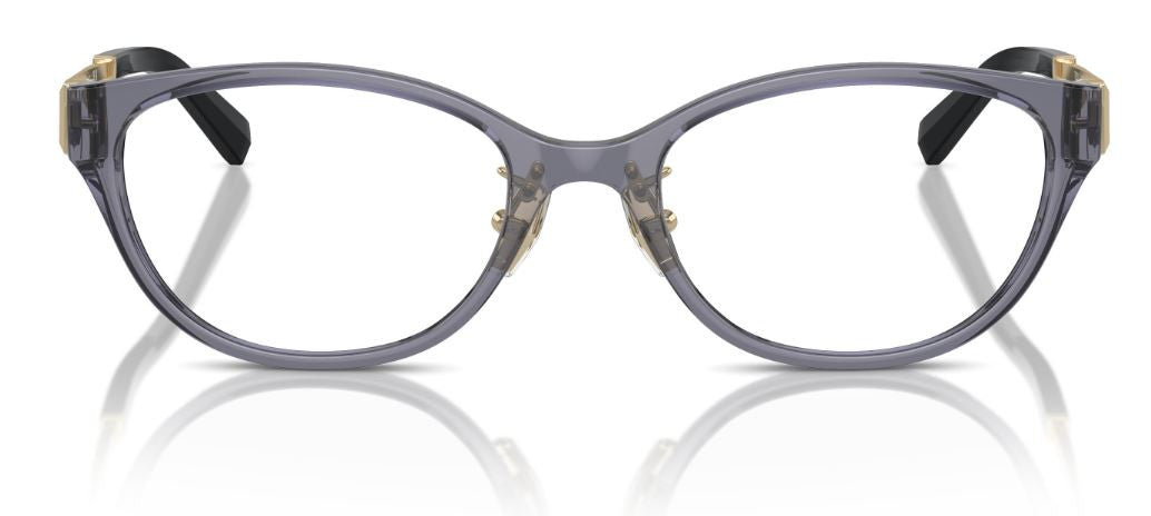 Korrektionsbrille Tiffany & Co TF2252D
