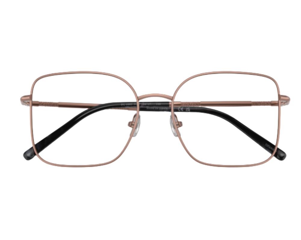 Lunettes de vue Brunello Cucinelli BC1005T