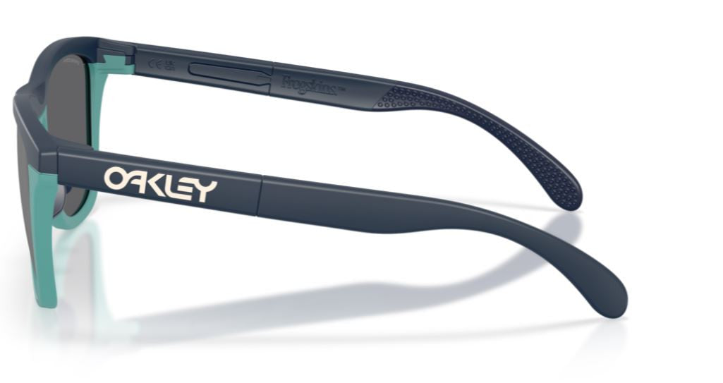 Óculos de Sol Oakley Frogskins Range OO9284