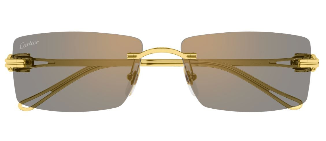 Sonnenbrille Cartier Precious CT0647S