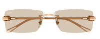 Sonnenbrille Cartier Precious CT0647S
