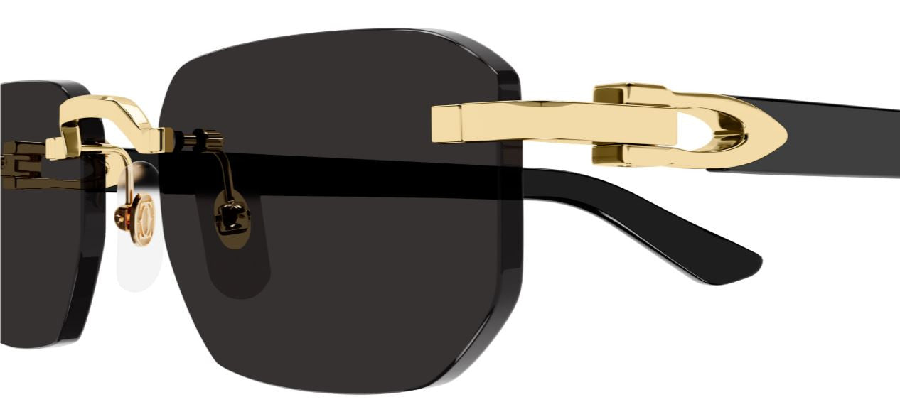 Óculos de Sol Cartier Décor C CT0622S