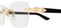 Cartier Core Range CT0623O Eyeglasses