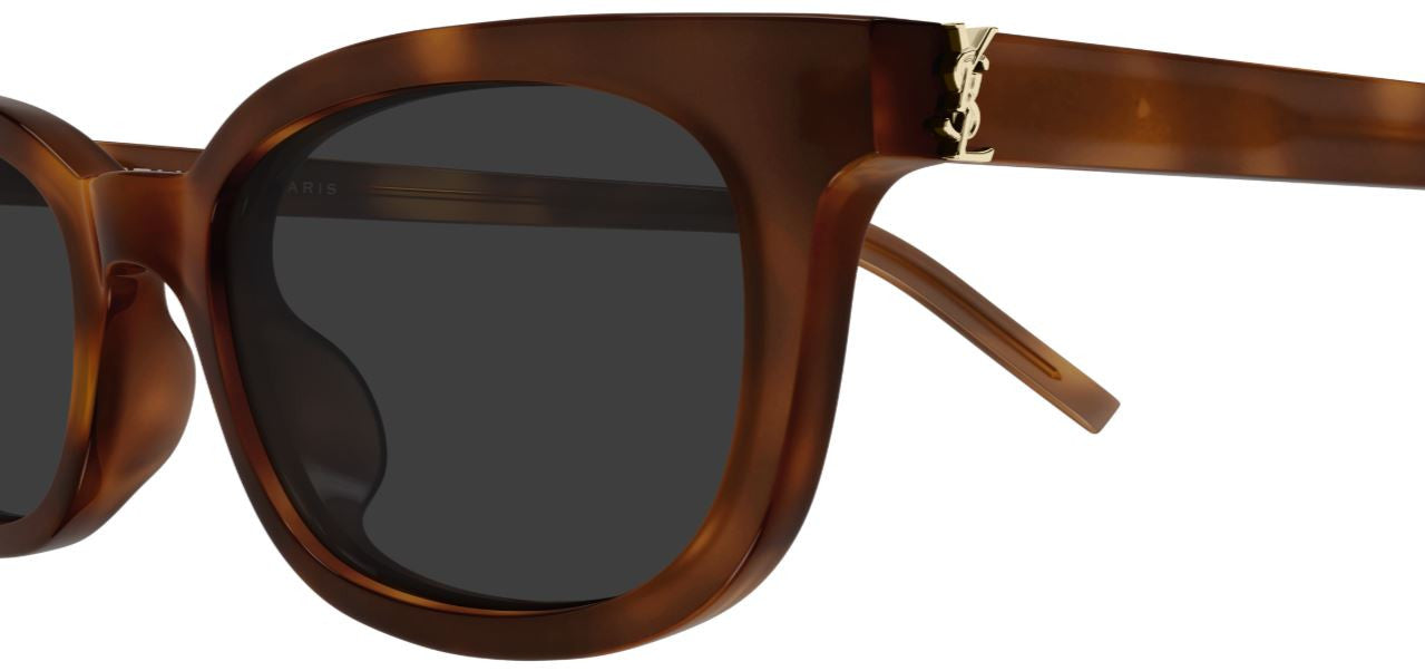 Óculos de Sol Saint Laurent Monogram SL M160/F