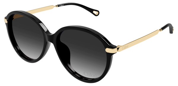 Óculos de sol Chloé CH0358SK