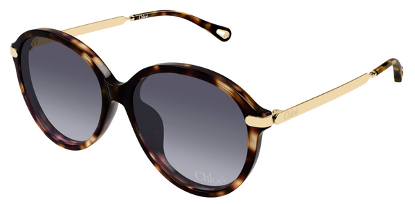 Óculos de sol Chloé CH0358SK
