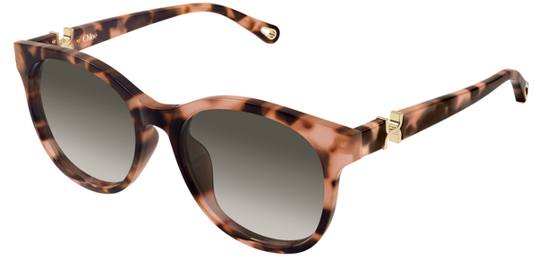 Occhiali da sole Chloé CH0375SK