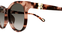 Sonnenbrille Chloé CH0375SK