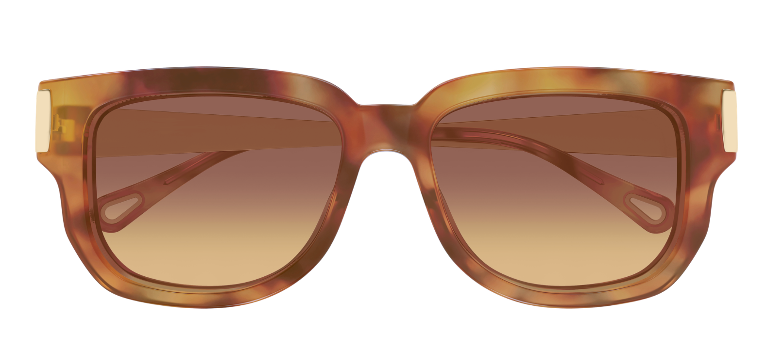 Gafas de sol Chloé CH0351S
