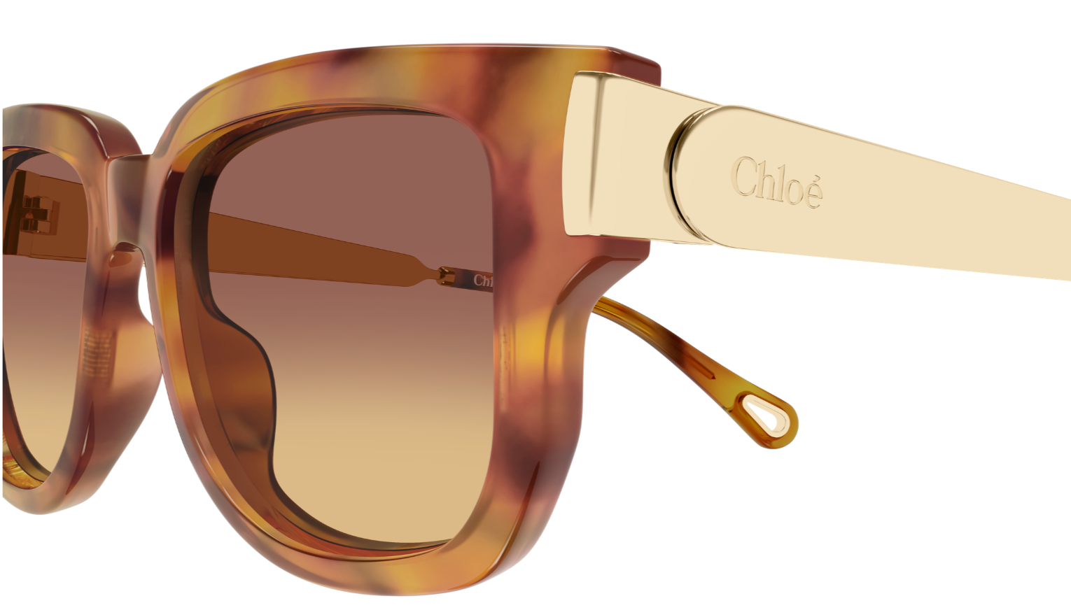 Gafas de sol Chloé CH0351S