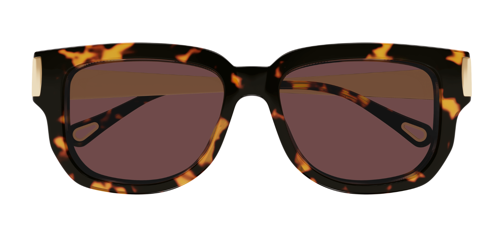 Gafas de sol Chloé CH0351S