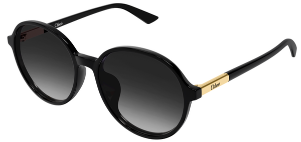 Occhiali da sole Chloé CH0365SK
