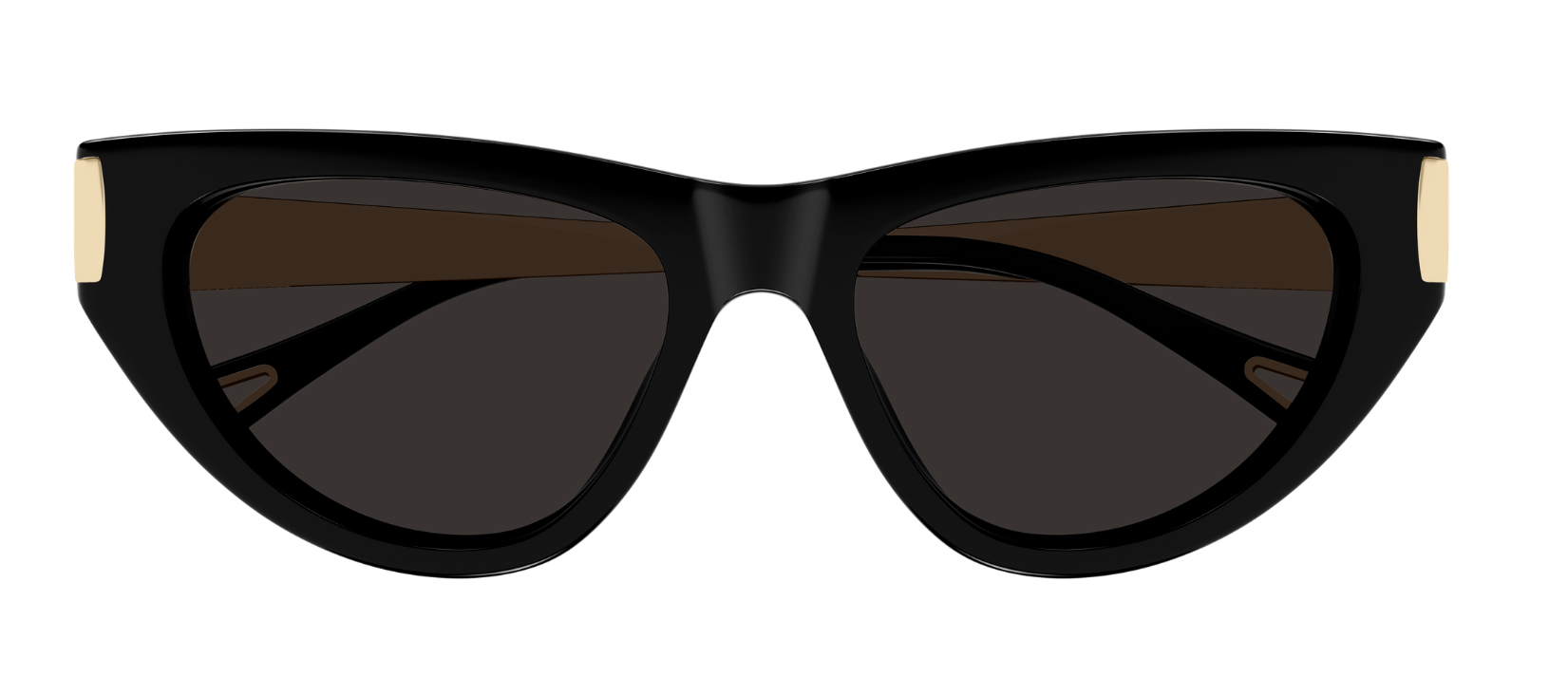 Zonnebrillen Chloé CH0350S