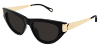 Zonnebrillen Chloé CH0350S