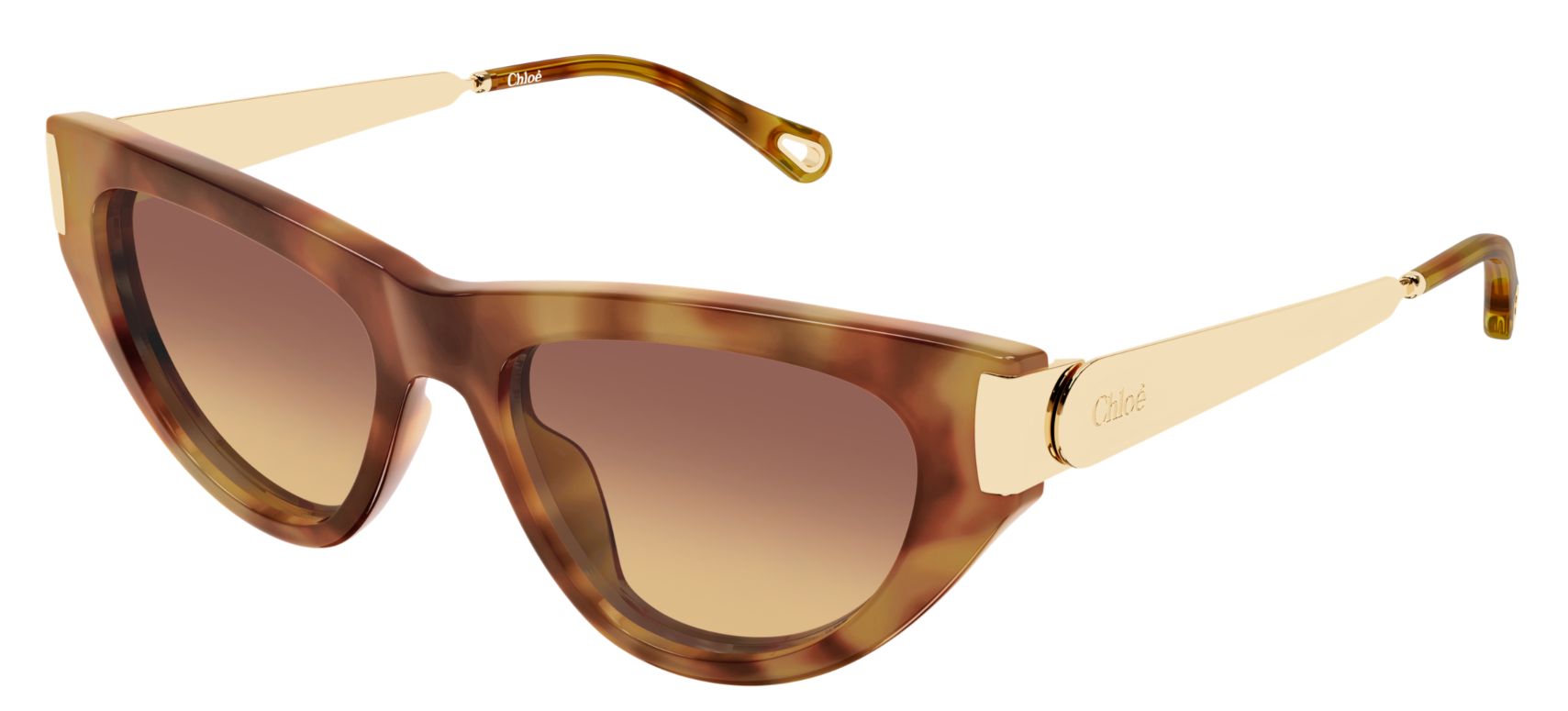Zonnebrillen Chloé CH0350S