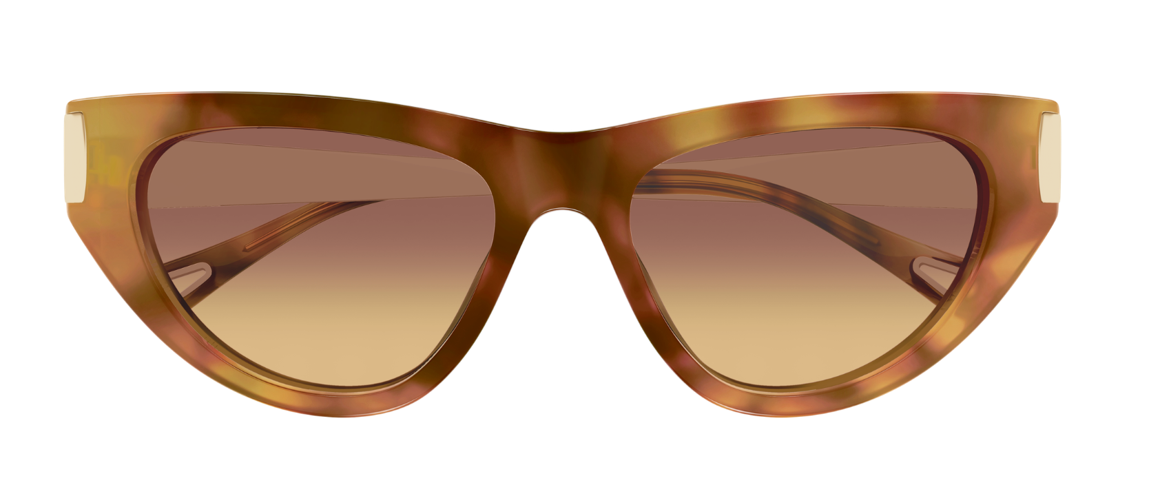 Zonnebrillen Chloé CH0350S