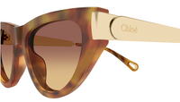 Zonnebrillen Chloé CH0350S