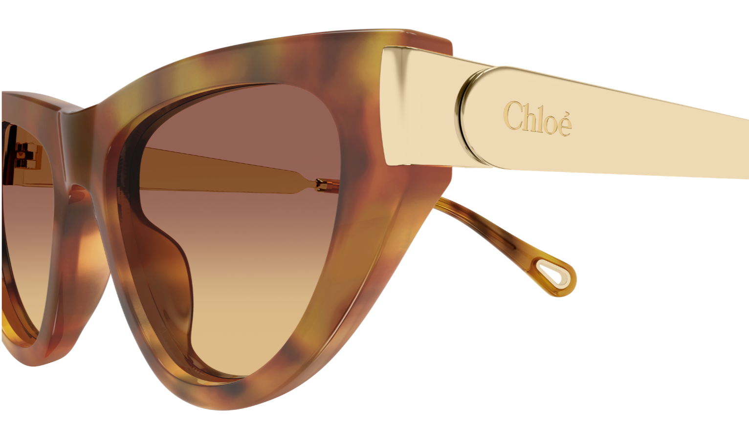 Zonnebrillen Chloé CH0350S