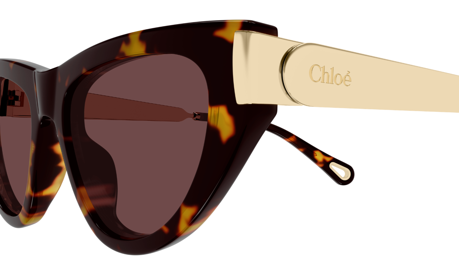 Zonnebrillen Chloé CH0350S