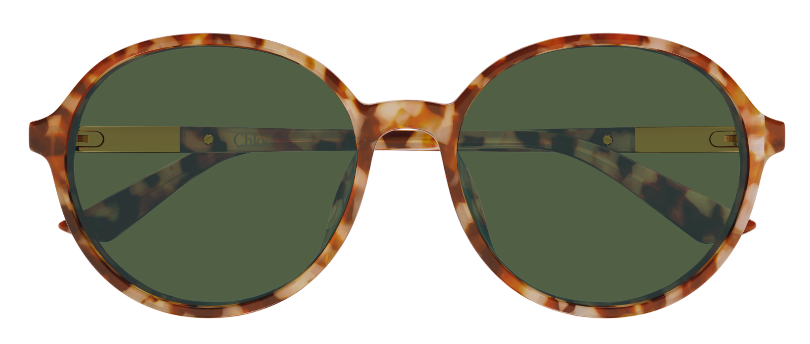 Óculos de sol Chloé CH0365SK