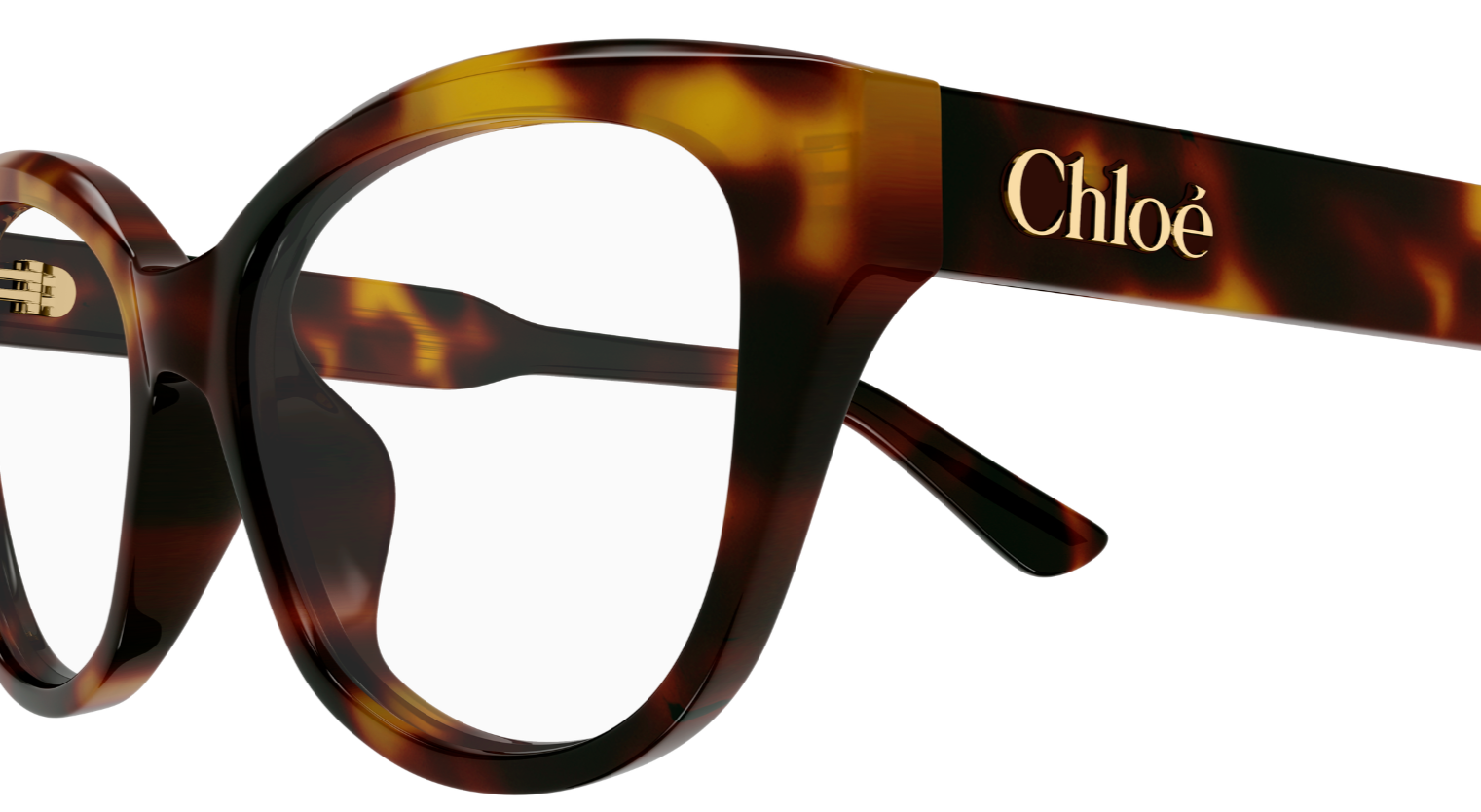 Korrektionsbrille Chloé CH0381OL