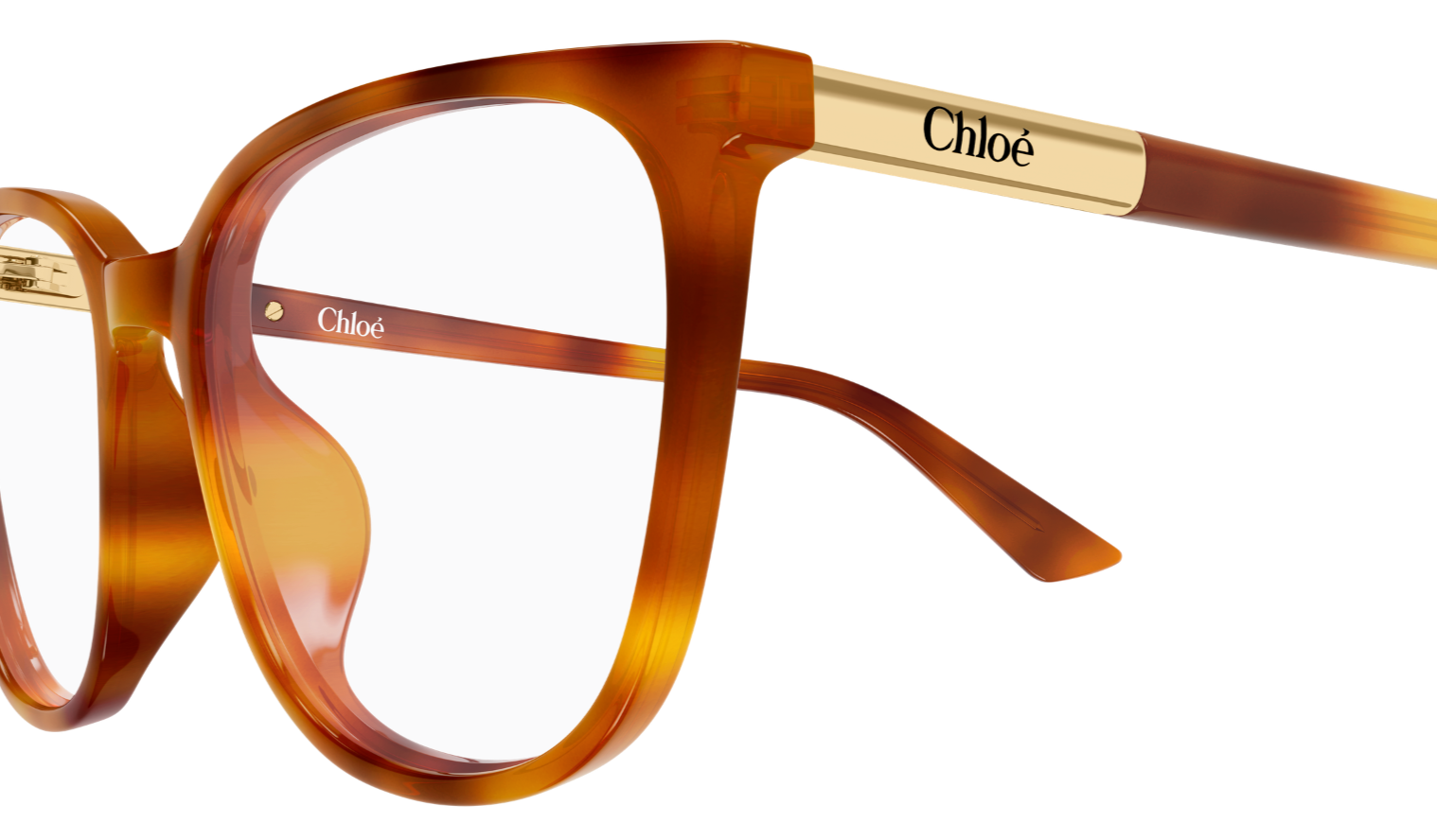 Brille Chloé CH0370OL