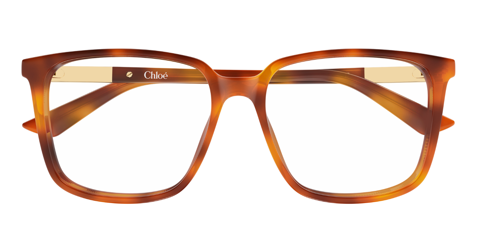 Chloé CH0369O Optical Glasses