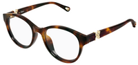 Brille Chloé CH0376OA