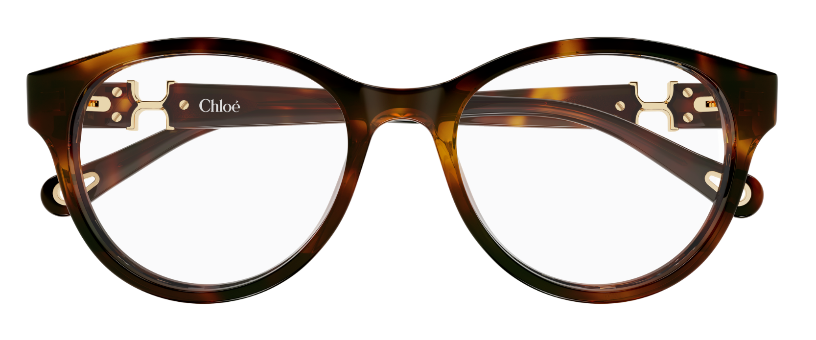 Brille Chloé CH0376OA