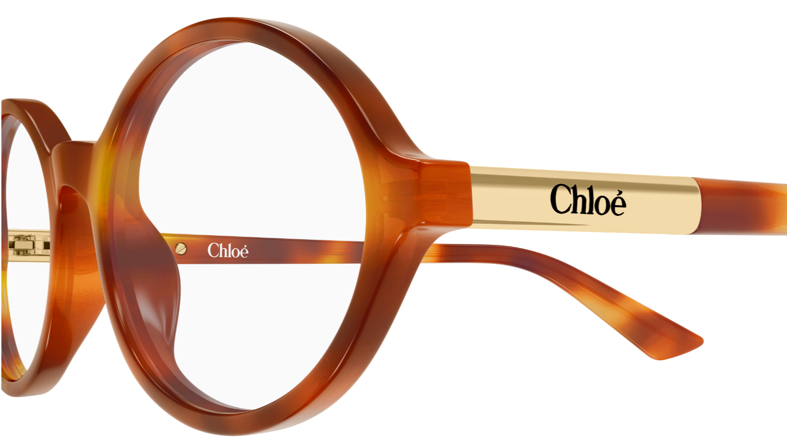 Brille Chloé CH0367O