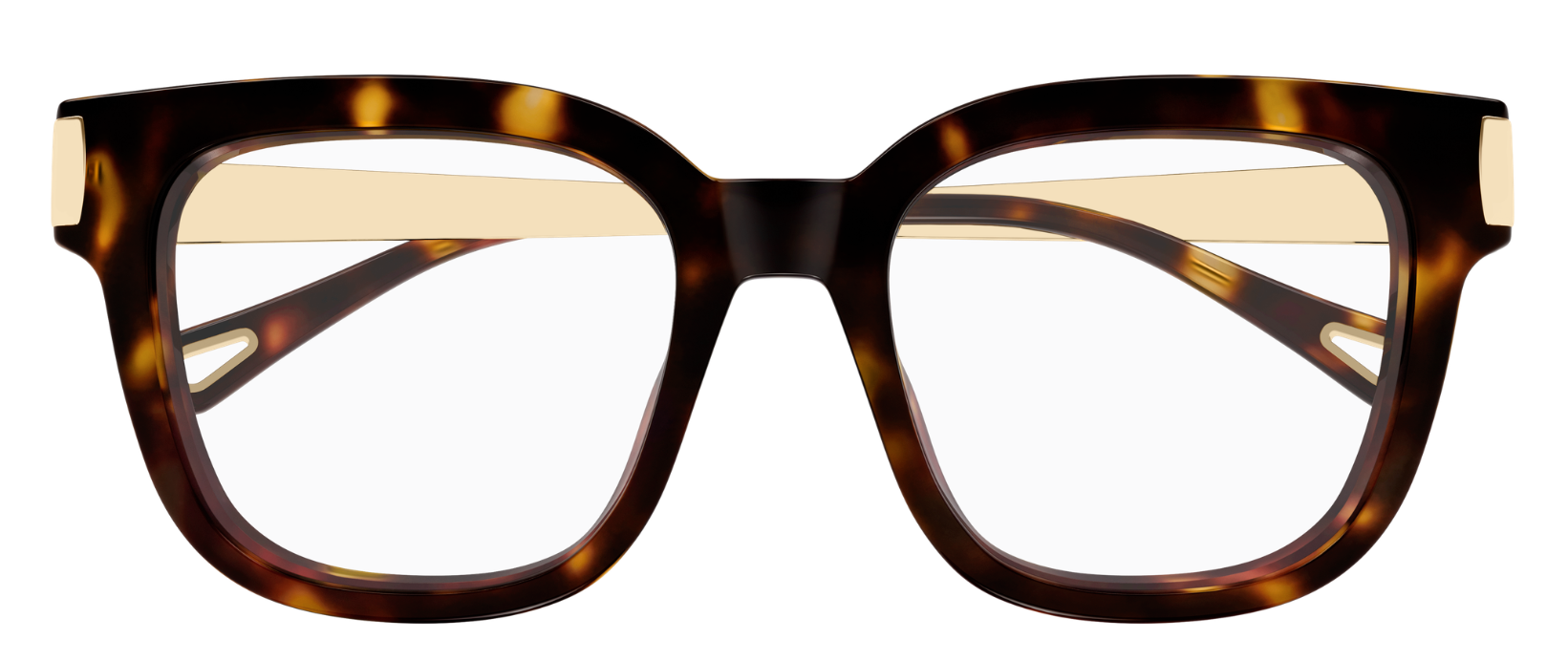 Chloé CH0353O Eyeglasses