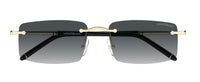 Gafas de sol Montblanc Meisterstück MB0443S