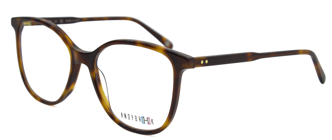 Lunettes de vue AndyBrook Beverley