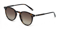 Lunettes de soleil AndyBrook Smith