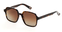 Gafas de sol AndyBrook Tali