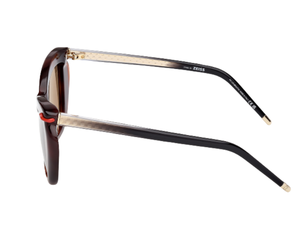 Gafas de sol Christian Louboutin LB0011
