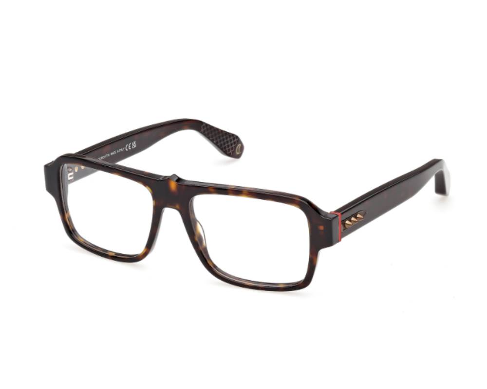 Christian Louboutin LB5020 eyeglasses