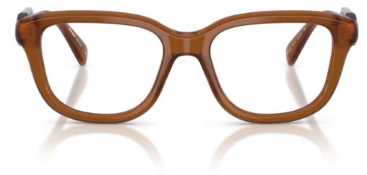 Brillen Miu Miu MU 02ZV