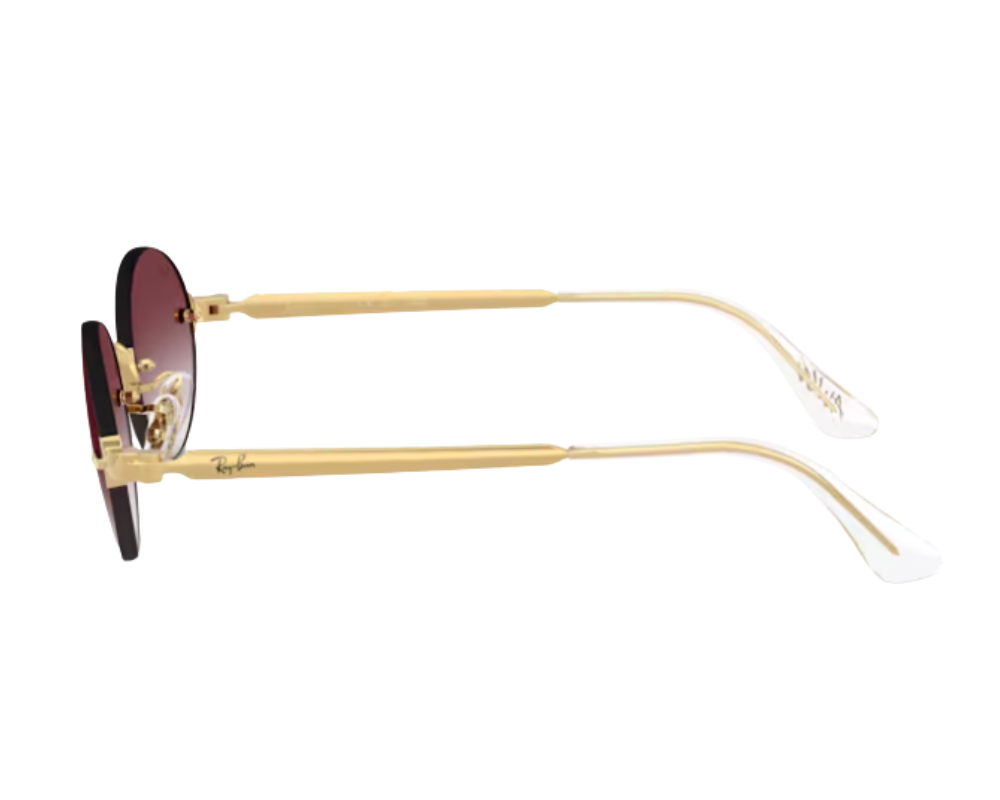 Sonnenbrille ASAP Rocky x Ray-Ban RB3929