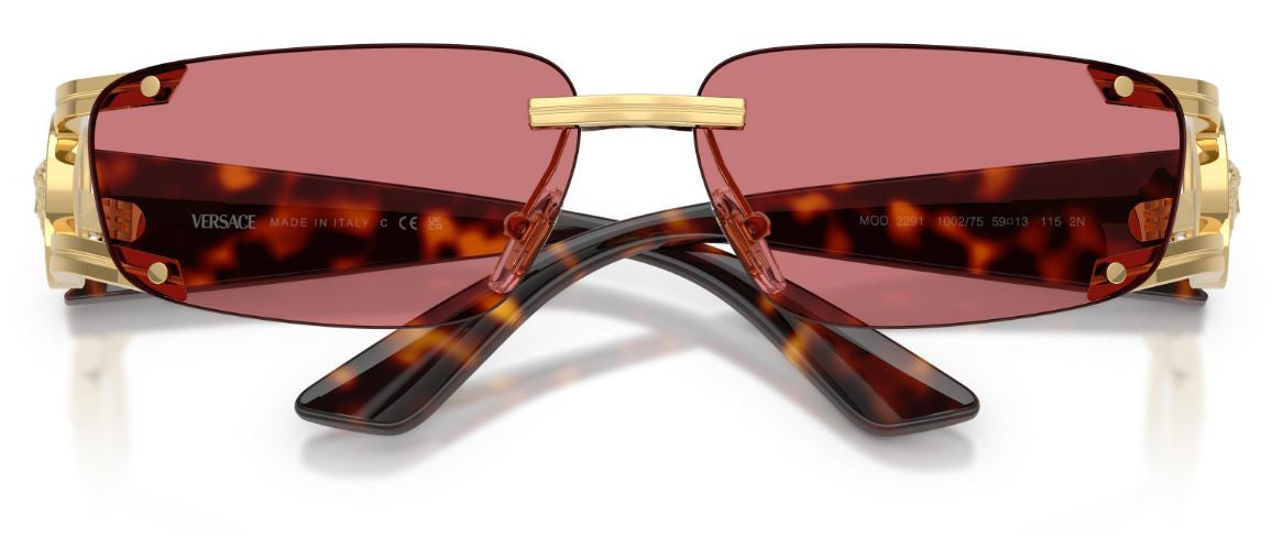 Gafas de Sol Versace VE2291