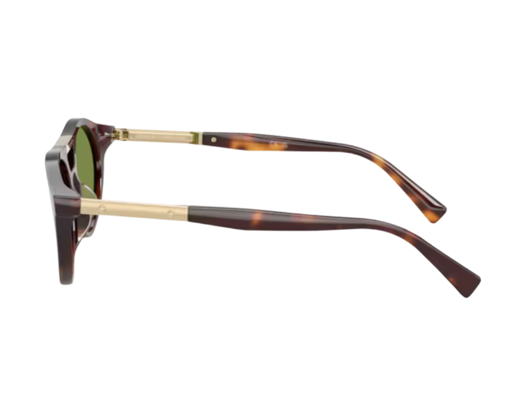 Brunello Cucinelli BC4020S Sunglasses