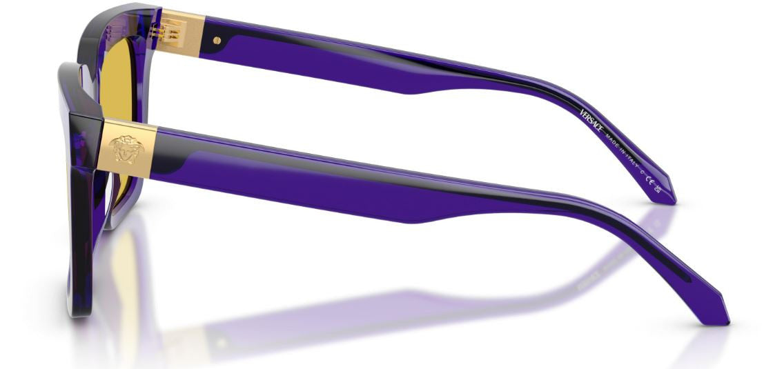 Zonnebril Versace VE4498