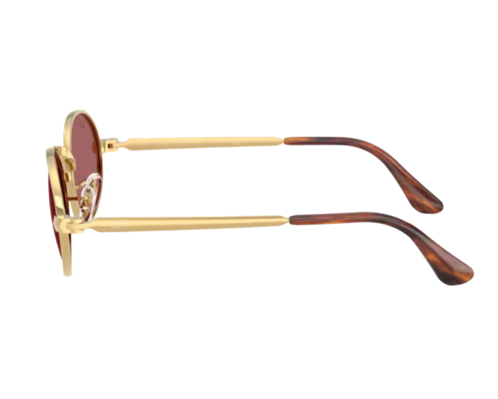 Gafas de sol Ray-Ban ASAP Rocky RB3931