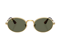 Gafas de sol Ray-Ban ASAP Rocky RB3931